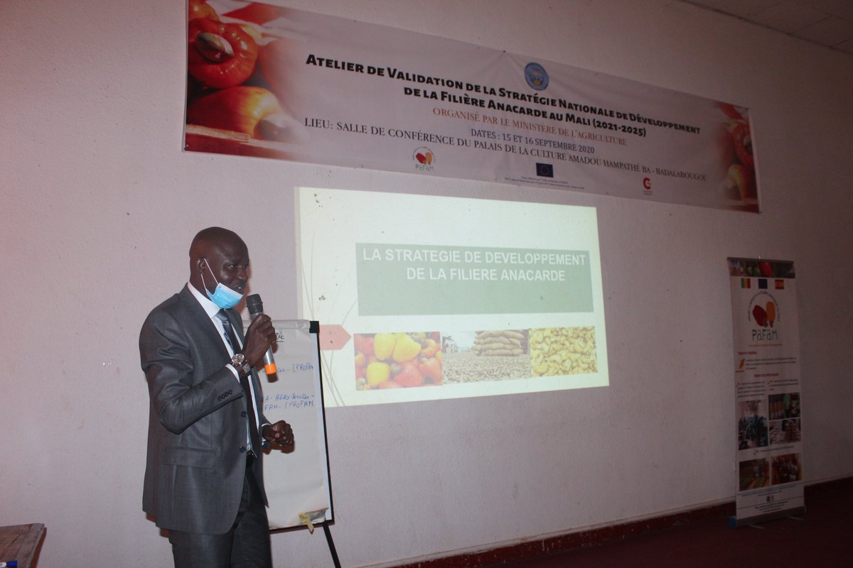 PAFAM3's tweet photo. OUVERTURE DES TRAVAUX DE L’ATELIER DE VALIDATION DE LA STRATEGIE NATIONALE DE DEVELOPPEMENT DE LA FILIERE ANACARDE AU MALI !!!
#UE @UEauMali @AECID_es @agri_ministere #PAFAM
#IPROFAM #CAJOU #agriculture https://t.co/MEulY1M00x