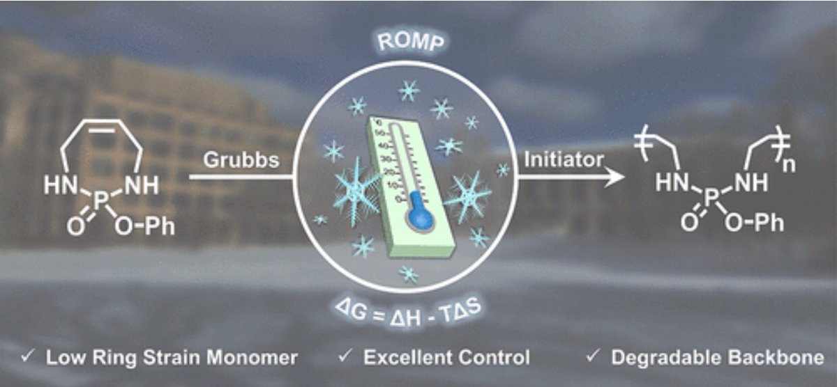 <a href="/MacroJrnls_ACS/">ACS Macro Journals</a> Ice is more helpful than heat to overcome the entropy penalty during ROMP of low strain cyclic olefin monomers, leading to well-defined degradable polymers which were inaccessible at ambient temperatures and above.
pubs.acs.org/doi/10.1021/ac…