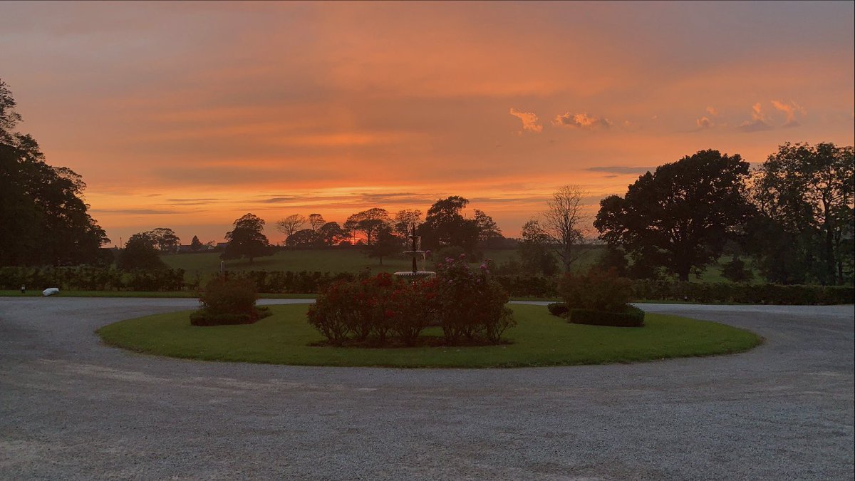 THHAlicia tweet media