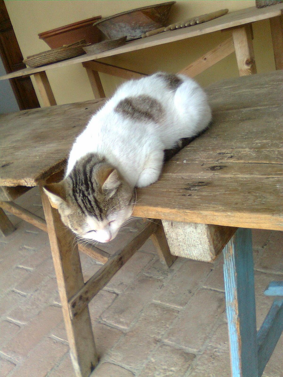 ortacesus's tweet photo. Tanto sonno...Nanotte https://t.co/HGK9S3EcFB