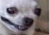 im one of two women on my team and the dudes all make mad sexual jokes but it pays well so haha yes popping cherries hahaha