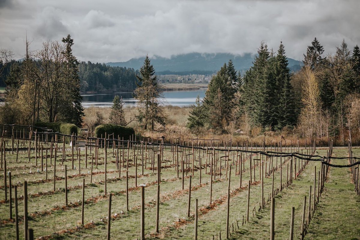 Andrew John Virtue Dobson (@dobbernation) on Twitter photo Plan a road trip of <a href="/hellobc/">Destination BC</a> to visit the best <a href="/TourismVI/">Vancouver Island</a> wineries featuring <a href="/EmandareWine/">Emandare Vineyard</a> in <a href="/cowichantourism/">Tourism Cowichan</a>
bit.ly/3klYZA0 Plan a road trip of <a href="/hellobc/">Destination BC</a> to visit the best <a href="/TourismVI/">Vancouver Island</a> wineries featuring <a href="/EmandareWine/">Emandare Vineyard</a> in <a href="/cowichantourism/">Tourism Cowichan</a>
bit.ly/3klYZA0
