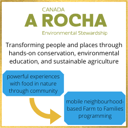 DialoguesImpact's tweet photo. We're inspired by partners who are working to redesign strategy in light of our current reality! Check out @arochacanada and 
Hands of Peace's #adaptation.

#strategy #covid #designthinking https://t.co/UijhCqwR61