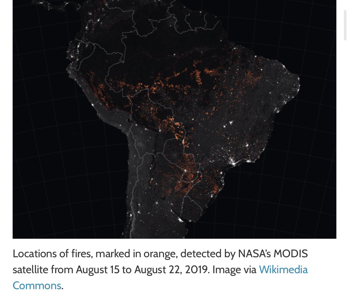 2. The amazon is home to 35 million people who rely on it to survive. the main reasons for deforestation are cattle farming and to grow oil palms for palm oil. 90-140 billion tons of c02 are stored in the plants, 18-28x the amount the U.S produces annually.