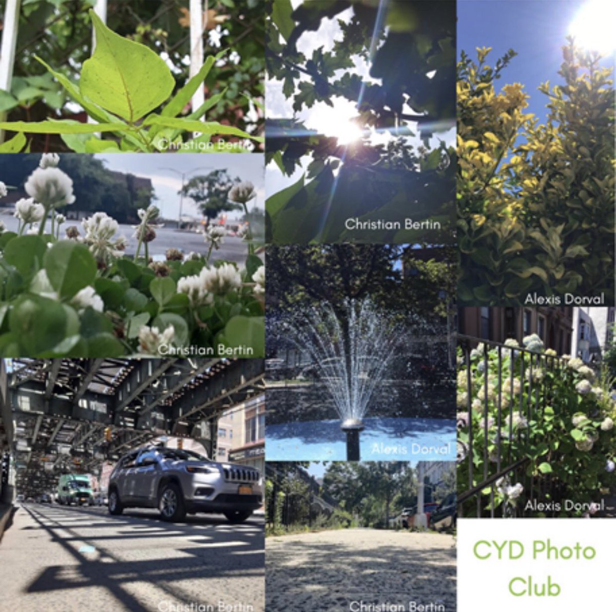 cydnewyork's tweet photo. Students at Manhattan Comprehensive took part in CYD's photography club this summer. Each week they learned a specific  photo skill and composition and were given a prompt to interpret the skill in their own way. Check out the amazing work of, Christian Bertin and Alexis Dorval! https://t.co/kr743SfK2r