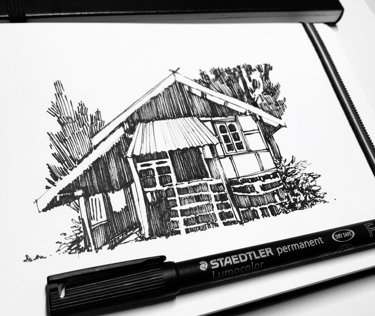 Daily sketches 