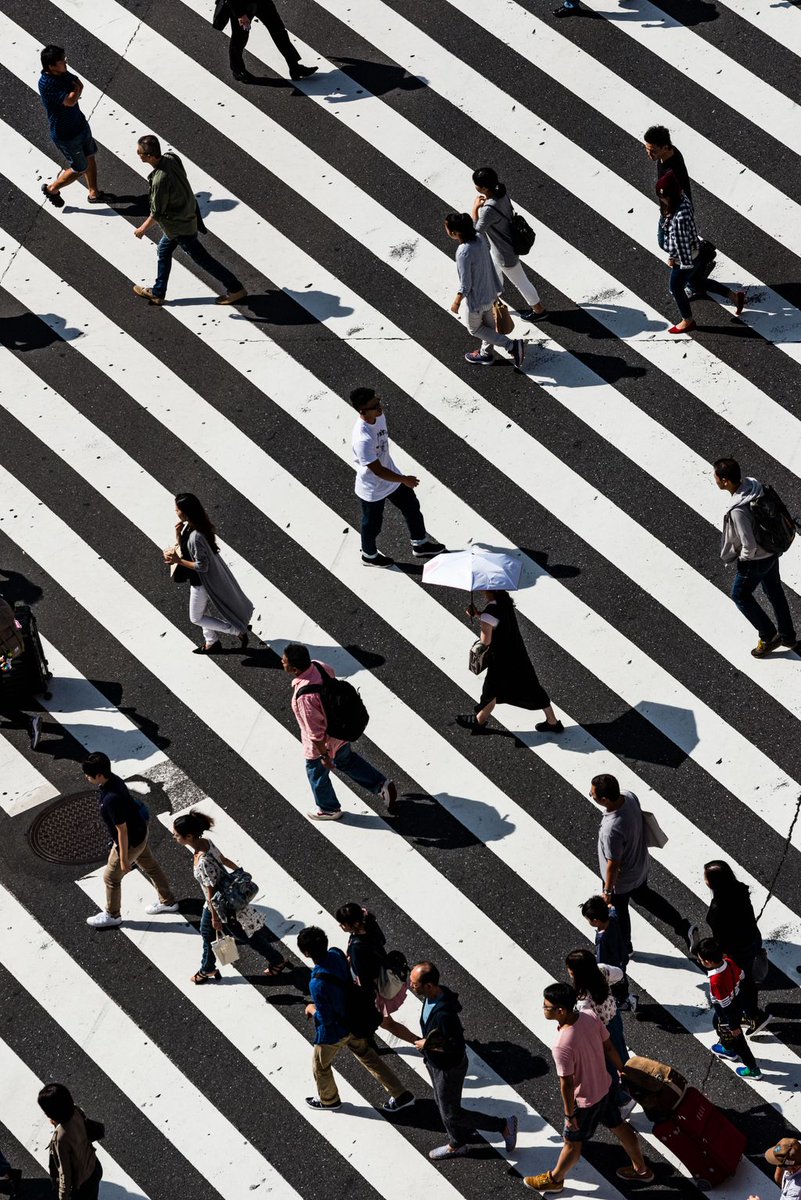 CarpeGlobal's tweet photo. Democracy Without Borders takes an integrated approach in their work and believes that the right to democracy transcends national borders. Check them out!
https://t.co/CiuCNcXy48
Photo Credit: Ryoji Iwata
#CarpeGlobal #DemocracyWithoutBorders #Global #Democracy https://t.co/dWhPwoX0To