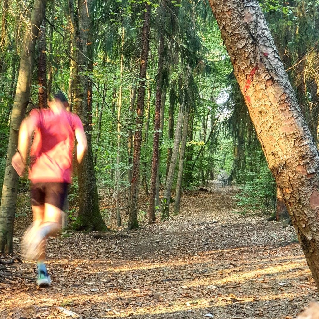 juliendjozikian's tweet photo. Et voilà.
@ecotrailparis annulé. Je suis dans le flou.
Il ne reste plus qu'à courir !
.
..
...
.
.
.
#run4fun #runhappy #trail #dubndiducrew #seuillards #igersrunners #runnerslife #runnerscommunity #trailrunning #newbalance #runstoppable #normalrunner … https://t.co/wTM3gR58RE https://t.co/Zk9XsDpftj