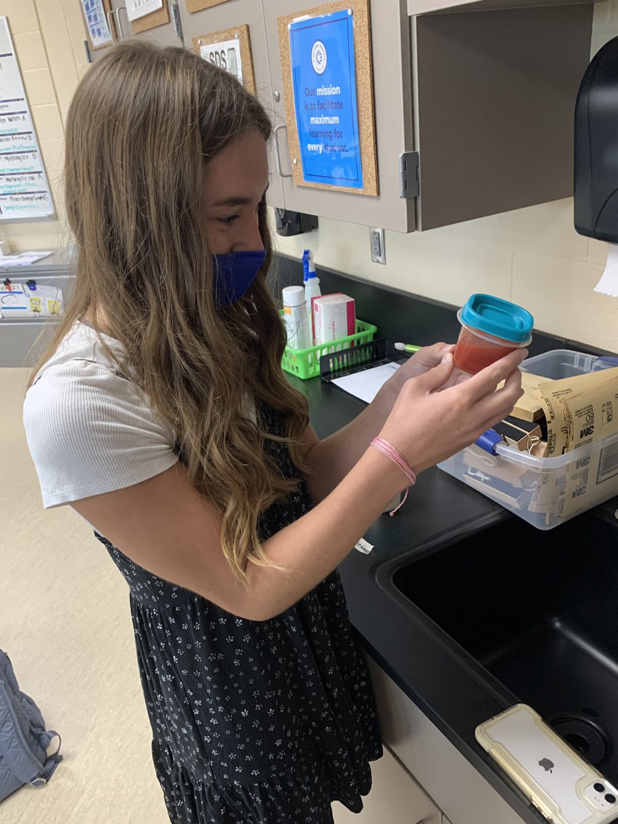 AlexisMSitz's tweet photo. Classification of Matter Lab in Physical Science today! #PureSubstance #Mixture https://t.co/F3CWrs5nUZ