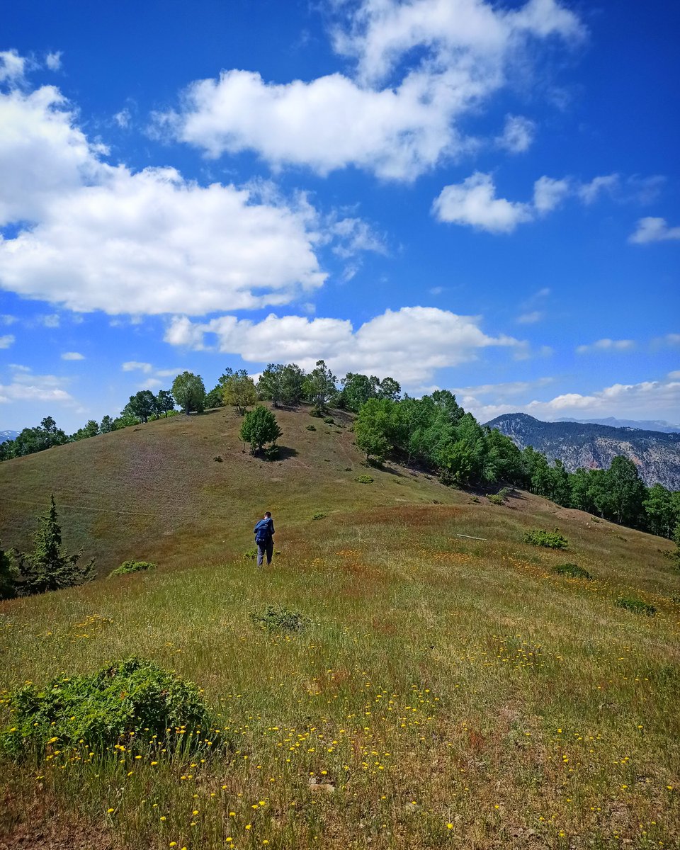 Şeyh Tantavi diyor ki: "70 yıldır kitap okurum, İbnü-l Cevzi'nin şu sözünden daha hikmetli bir söz görmedim: 

İbadetlerin meşakkati gider, sevabı kalır; 
Günahların lezzeti gider, azabı kalır."