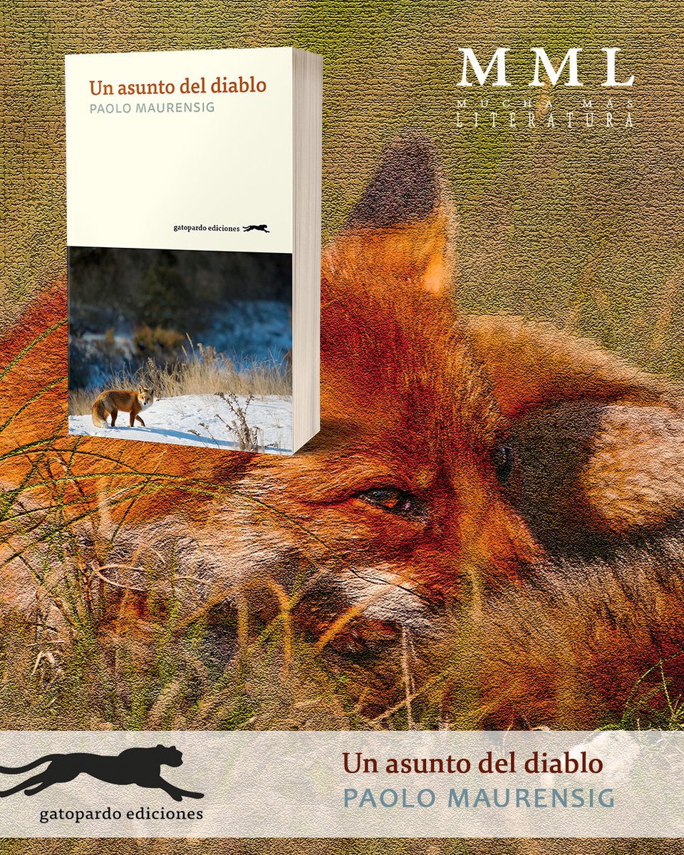 LiteraturaMML's tweet photo. Así estrenábamos la nueva temporada en MML
https://t.co/eCVHrV8WDx
@GEdiciones #gatopardoediciones #BookReview #books #libros #LibrosRecomendados #libro #blogging #blogliterario #bloggers #paolomaurensig #literatura #queleer #LecturaRecomendada https://t.co/xfDJDeCgpB