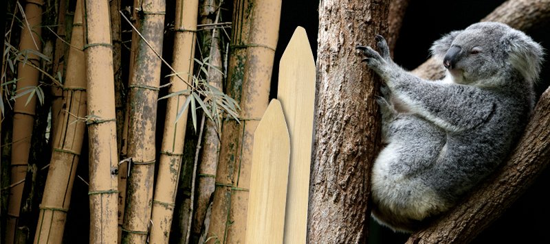 UniversityProd's tweet photo. New Archival Solutions Blog Post published: https://t.co/DBibpB7wc7 Read about our Eco-Friendly Bamboo Folders, Spatulas and Brushes that are good for the Earth and for your Conservation Toolbox #EcoFriendly #ConservationTools https://t.co/WjXrzqZBMB