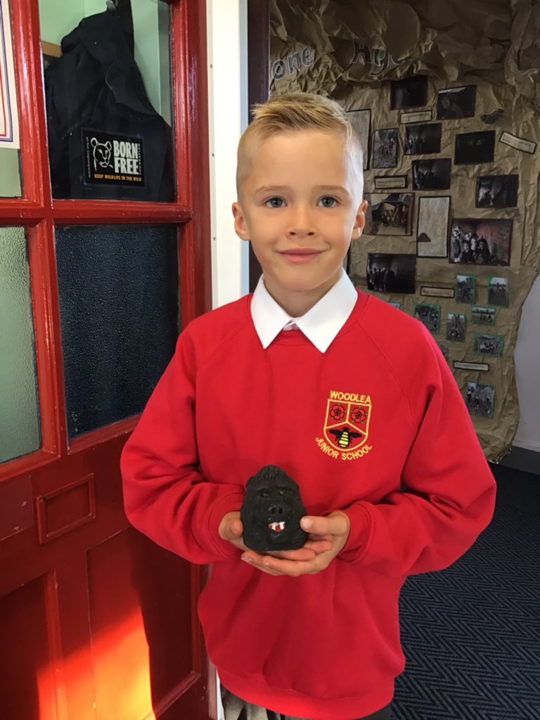 Gorilla class tweet media