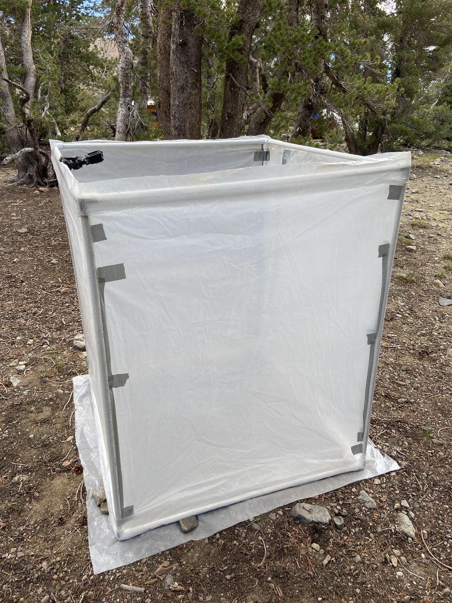 In addition to the sample collection, we also conduct behavioral experiments. We use an "arena," basically a makeshift tent, to provide a controlled, neutral environment to film a chipmunk's behavior and compare how individuals of each species respond to an unfamiliar environment