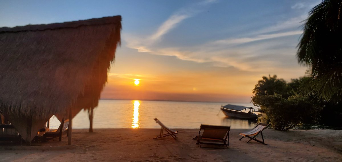 sika2909's tweet photo. The Bold and Beautiful Greystoke Mahale at Dusk. Truly Magical Place on Earth.
#ChimpMan #GreystokeMahale #nomadtanzania #sunset #sunsetphotography #dusk #Mahale #laketanganyika #tanzaniaunforgettable #tanzaniapark #Africa https://t.co/G6X0oC2VnK
