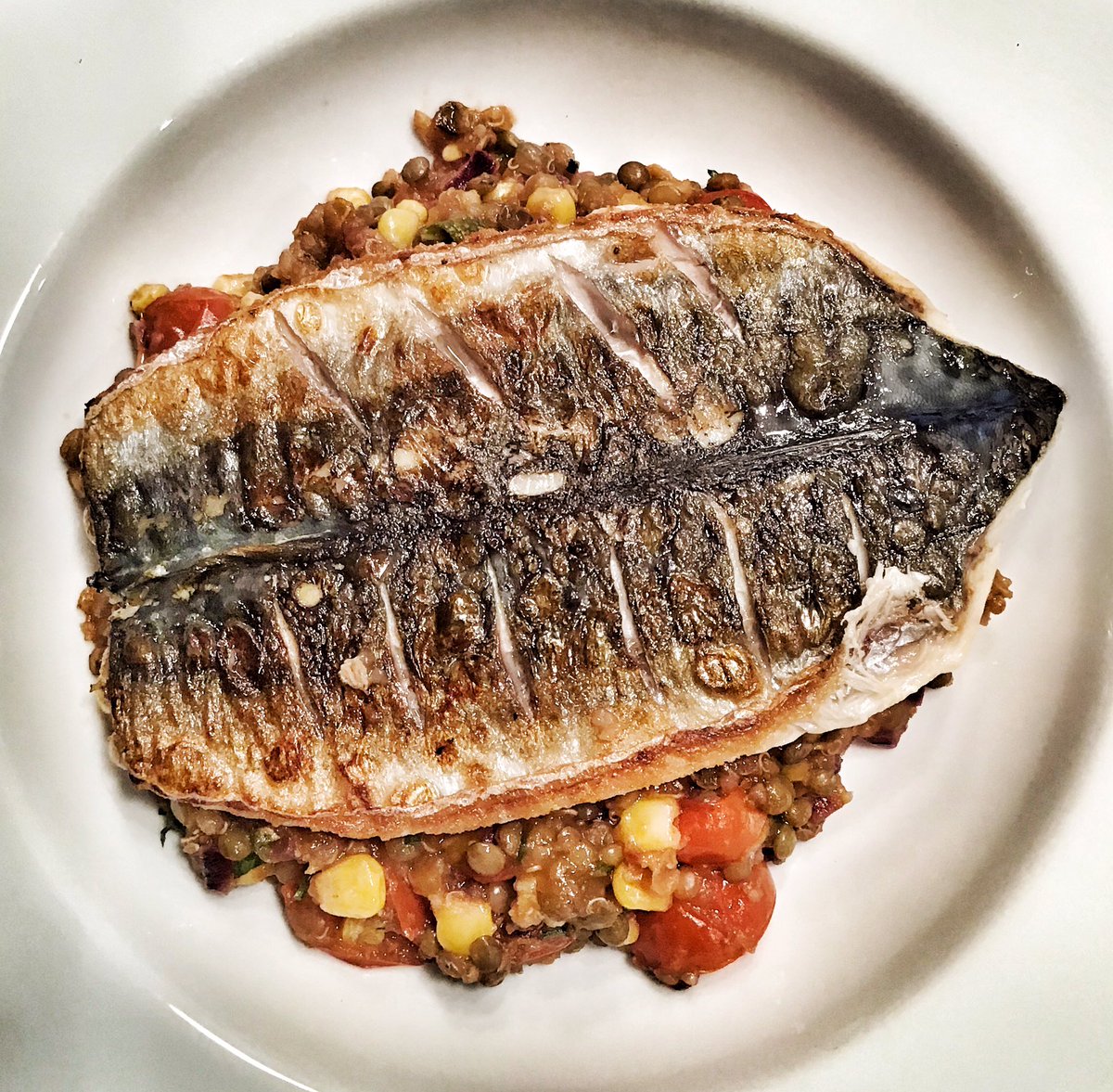 thecooktwit's tweet photo. Lovely pan fried mackerel from #Edmondsons #morecambe.....forgot I had them, froze them the day they landed....still pink when defrosted, tremendous #tweetyertea https://t.co/jwpuI2Zag3