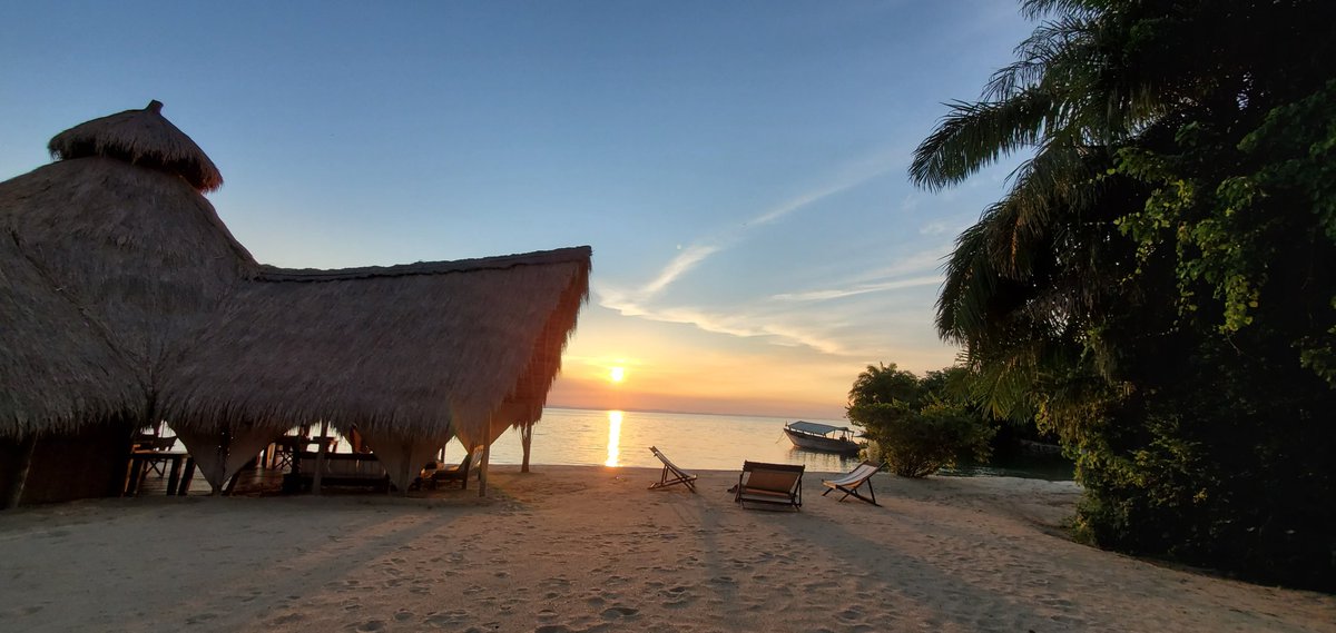 sika2909's tweet photo. The Bold and Beautiful Greystoke Mahale at Dusk. Truly Magical Place on Earth.
#ChimpMan #GreystokeMahale #nomadtanzania #sunset #sunsetphotography #dusk #Mahale #laketanganyika #tanzaniaunforgettable #tanzaniapark #Africa https://t.co/G6X0oC2VnK