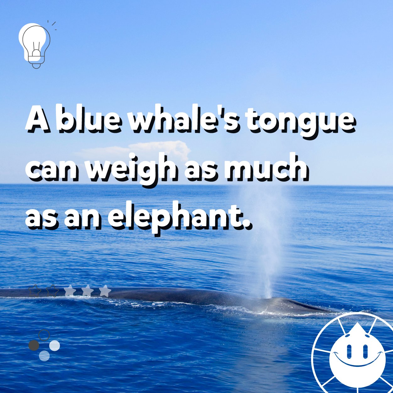 Tweets with replies by Ssgellabank (@ssgellabank) / Twitter