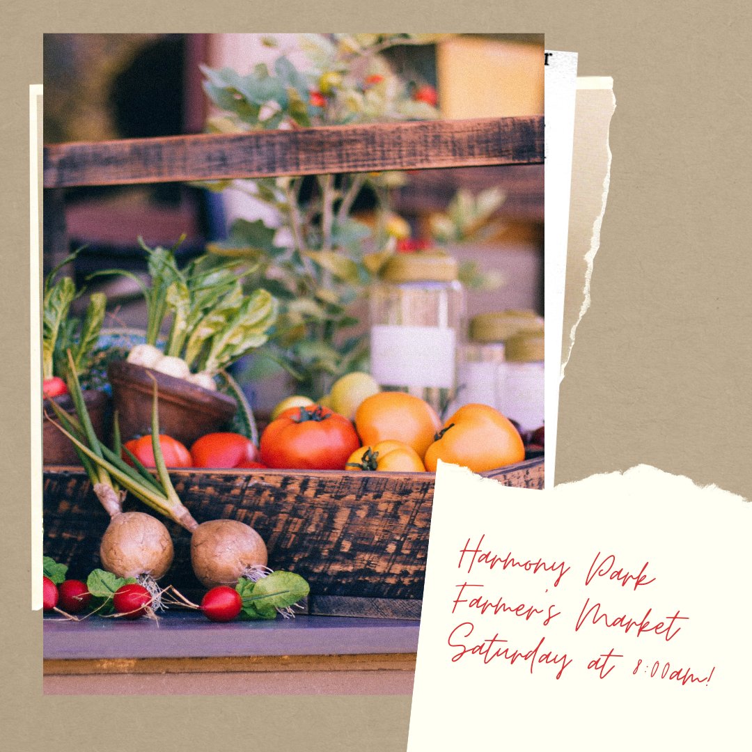 It's the second to last Harmony Park Farmer's Market this weekend!   Don't miss out on locally grown fresh produce and baked goods to handmade items and crafts. The market starts at 8AM! ✨🍅🍑 #eatontonga #visiteatonton #harmonyparkfarmersmarket #georgiagrown