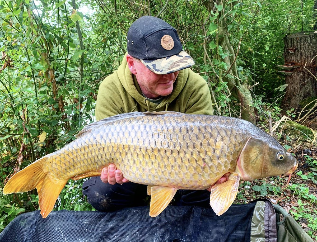 This bar of gold slipped into Simon’s net just after first light. Caught on a Trap bottom bait topped with a seed sensation pop up inside a PVA bag with trap pellet mix. 

#incrediblebaits #carp #fishing #carpy #carplife #karpfen  #angling #nature #carpangling #carpe #commoncarp
