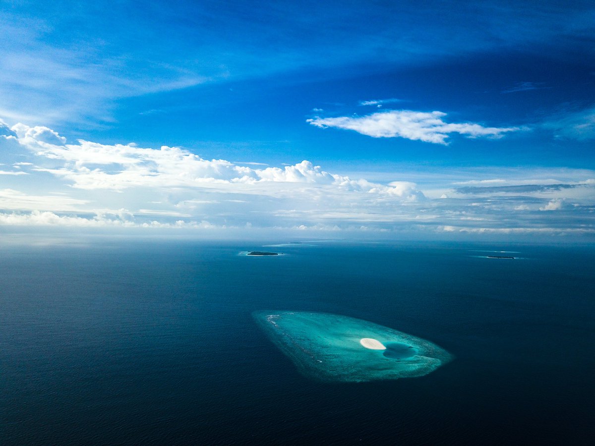 Who’s in a mood for a private picnic with your loved ones on a beautiful sand bank in the maldives? 

#noonuatoll #fodhdhoofaru #excursion #sabbasummersuite #sabbabeachsuite  #Sandbank #picnic #RediscoverMaldives #VisitMaldives #TravelSafely #TravelSoon  #dronestagram