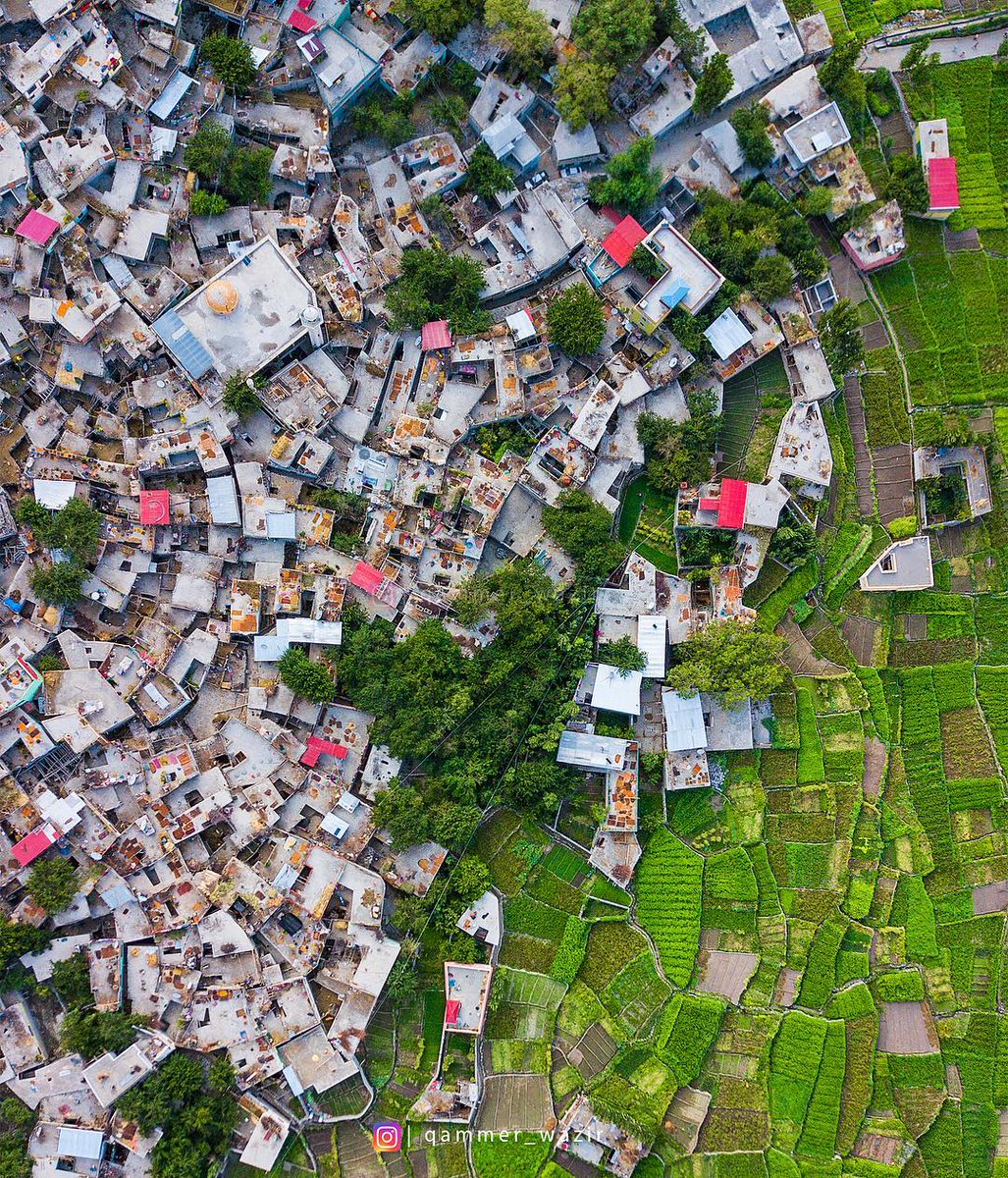 Apricots being dried on rooftops of the houses, Karimabad 🇵🇰