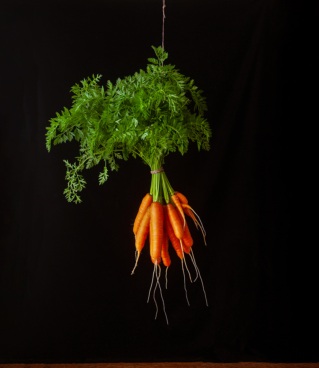 Betho1850's tweet photo. Fn beauty carrots #todaysharvest https://t.co/LPL03PvCfW