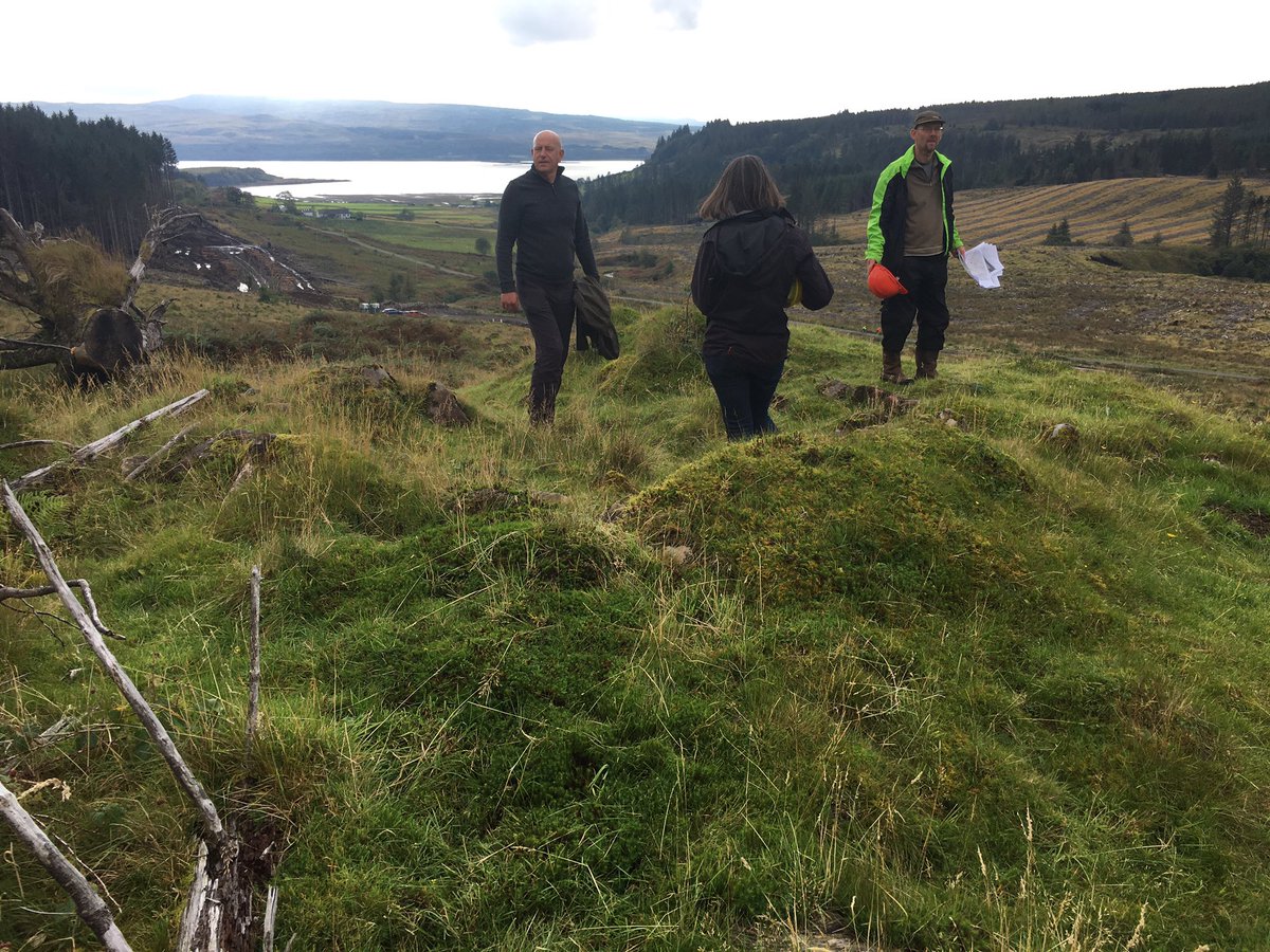 Great to be on Mull today prospecting woodland crofts with South West Mull Development Trust