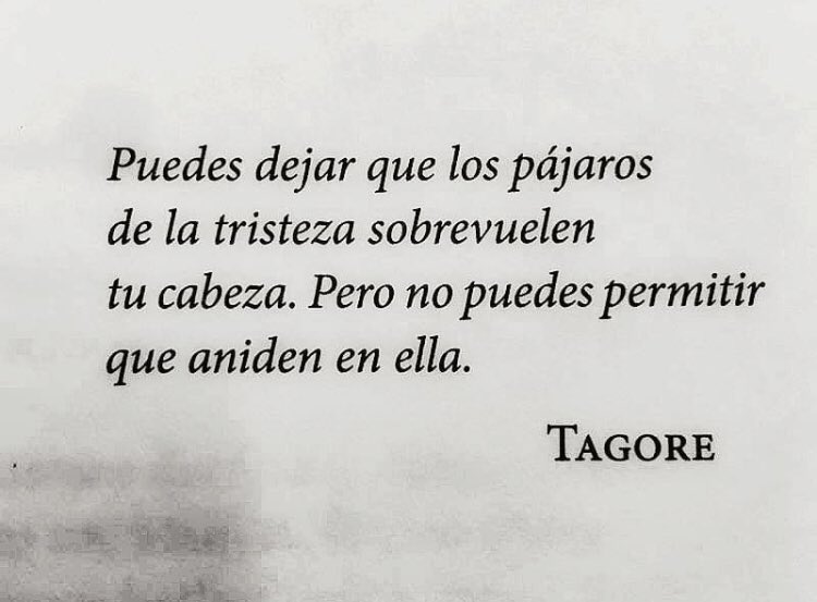 TextosDeLibros's tweet image. 