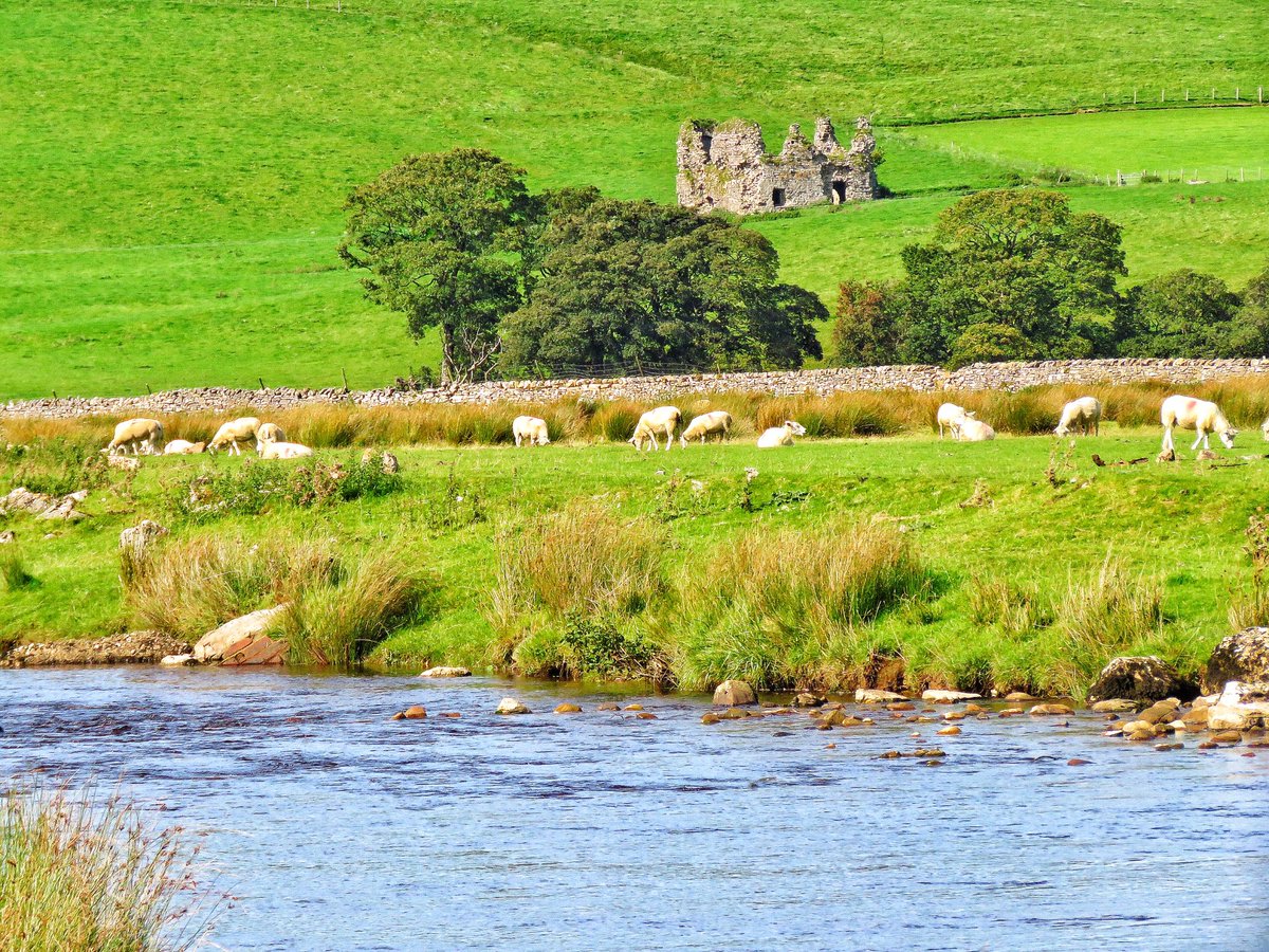 oldcrofthouse's tweet photo. One thing we can always guarantee in the Eden Valley its a view all to yourself
#wildboarfell #lammerside #yorkshiredalesnationalpark #exploretheunknown #walkingadventures #walkingholidaysuk #bedandbreakfast #kirkbystephen @VisitEden #thinkoutsidethebox #notasoulinsight #Cumbria https://t.co/JCBKKmhIkf