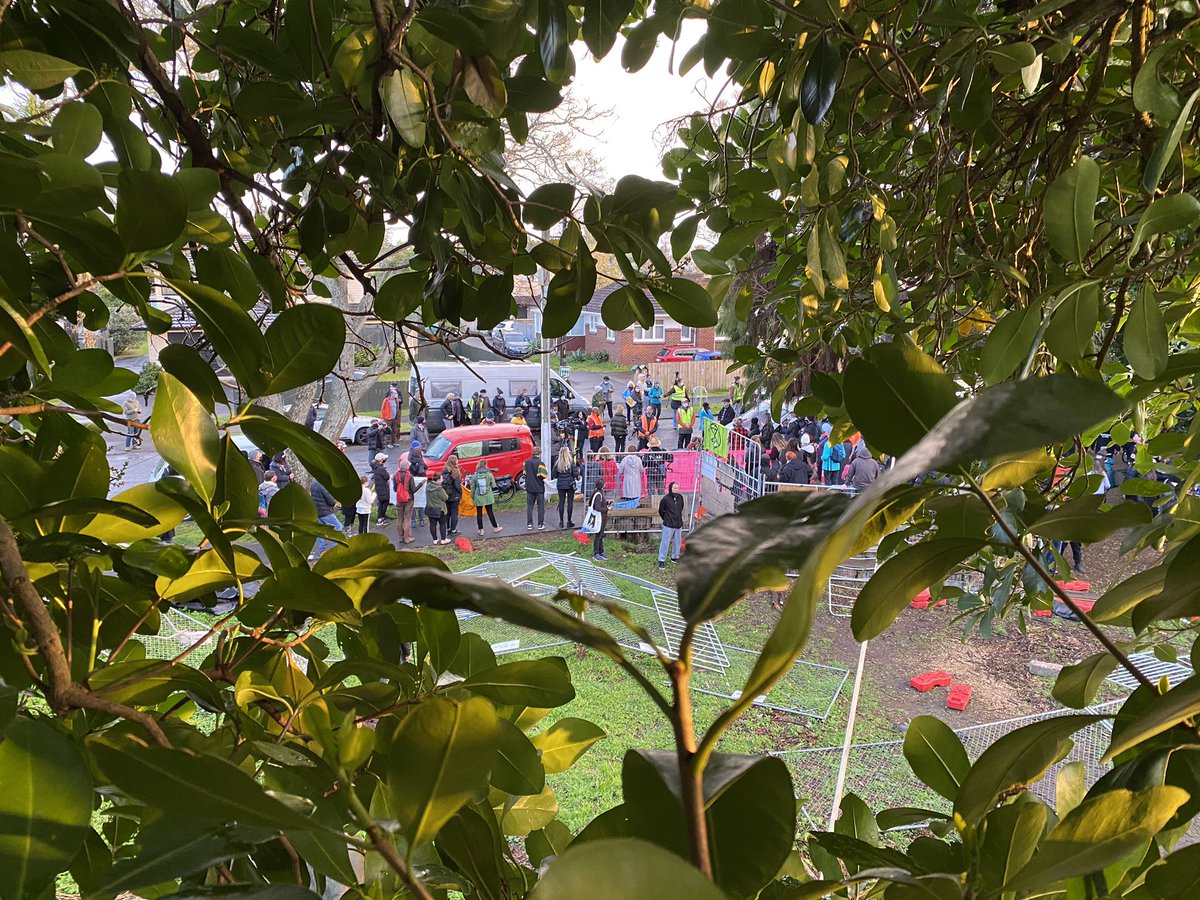 So stoked with everyone who showed up today to protect the native trees on Canal Rd.

Enough is enough, we need tree protections for our ancient, native, and endangered trees.

Say it loud so Auckland Mayor <a href="/phil_goff/">Phil Goff</a> and Labour minister for environment <a href="/DavidParkerMP/">David Parker</a> can hear.