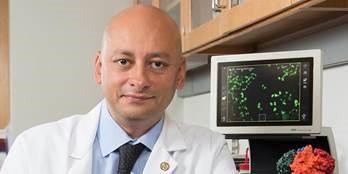 CEG_NY's tweet photo. Featured in CEG’s newest #TheResearchConnection on #cancer R&D: an @UpstateNews #urology professor leads a decade-long research project into understanding #kidneycancer biology & to develop novel therapeutic strategies to treat patients. https://t.co/cjbYhmGYp3 @rfsuny https://t.co/eMxKyQD76L