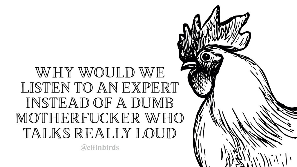 Effin' Birds (@effinbirds) on Twitter photo 