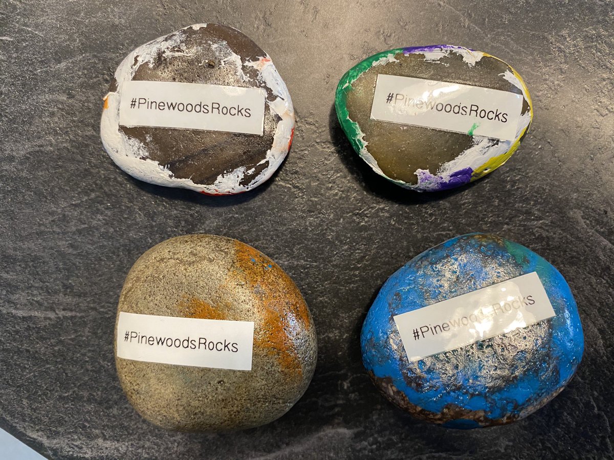 davidsilkstone's tweet photo. @PinewoodsHgt More painted stones hidden again in the #Harrogate Pinewoods and at @HarlowHillTower today with my little helper ready to be found or relocated. @k_silkstone @KateBB76 #PinewoodsRocks https://t.co/JSdYIocQZj