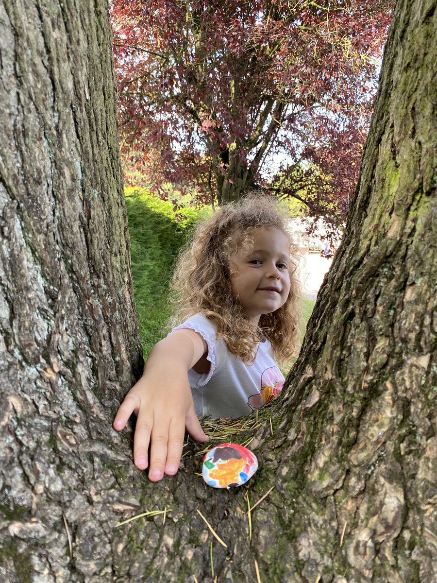 davidsilkstone's tweet photo. @PinewoodsHgt More painted stones hidden again in the #Harrogate Pinewoods and at @HarlowHillTower today with my little helper ready to be found or relocated. @k_silkstone @KateBB76 #PinewoodsRocks https://t.co/JSdYIocQZj