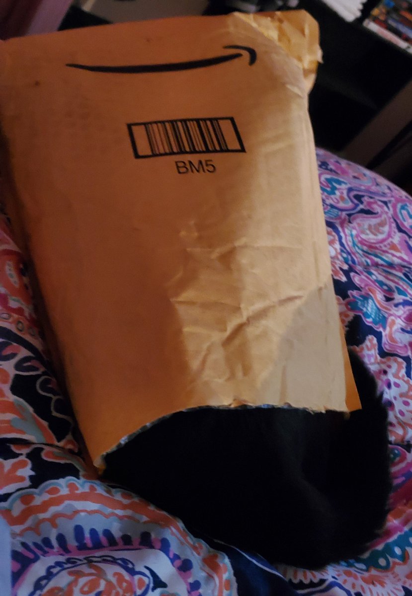 bruisedwitch's tweet photo. @amazon Uhm, my package won't come out. I don't remember even ordering this. And he's popping the bubble wrap. That's my favorite part! #blackcat #catmomissues https://t.co/MbzjhyPvdM