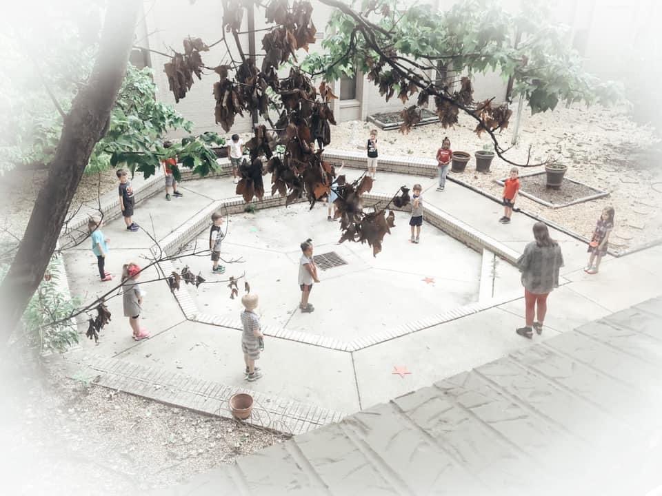 We are so happy to have our students back. This class is in our courtyard enjoying a mask break.