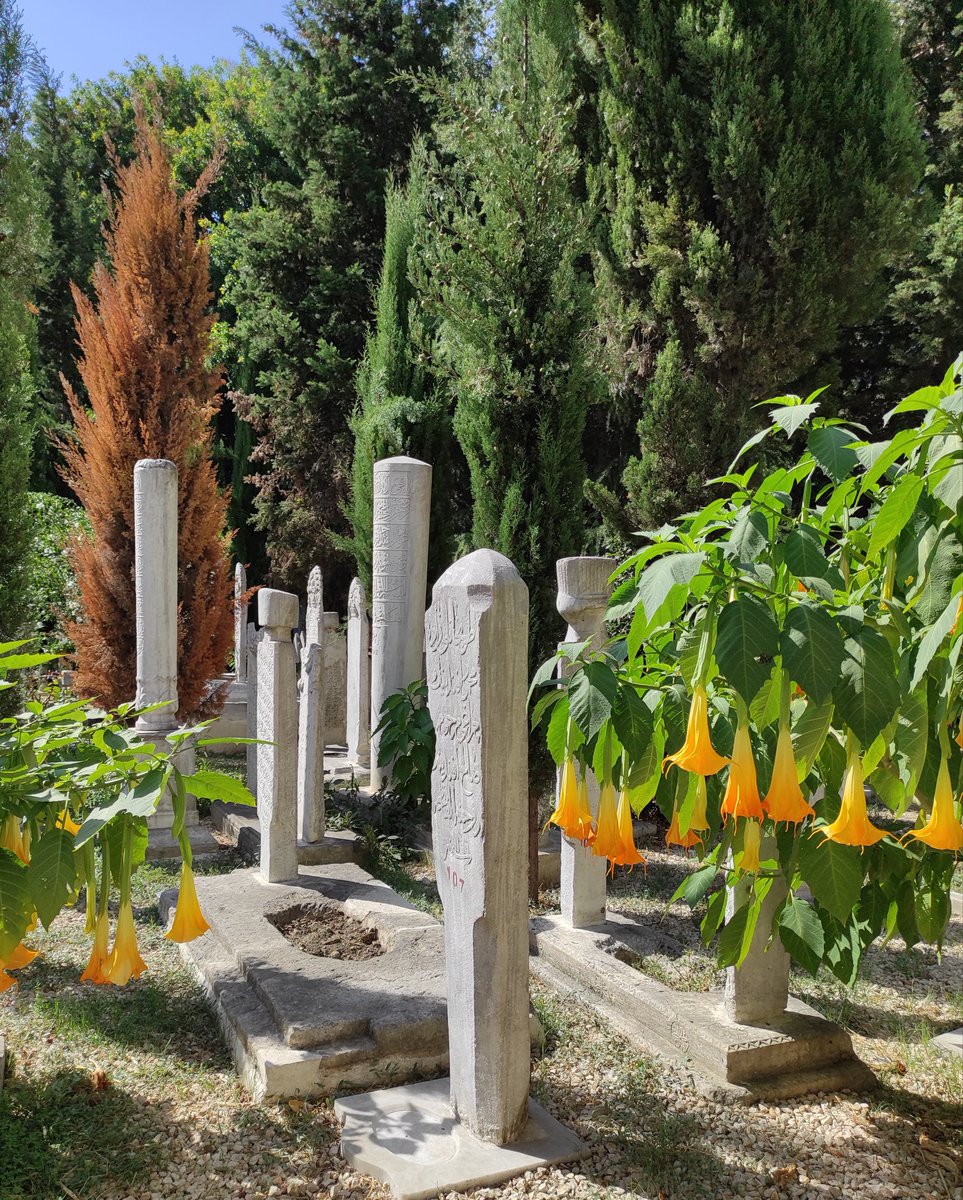 mansurozdemir's tweet photo. Herkes bir bir eksiliyor, silüet değişiyor, şehrin sahipleri yerinde.... Üsküdar Şeyh Devati Hz. Camii/ Makam ve Kabri https://t.co/pBARKqELMd