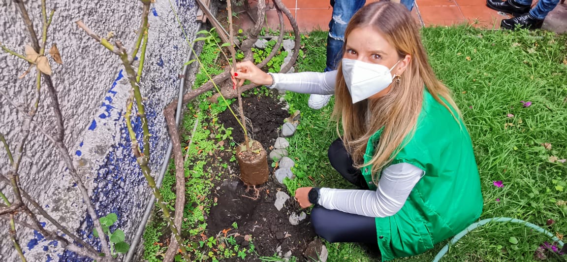 PVEM Cd. de México tweet media