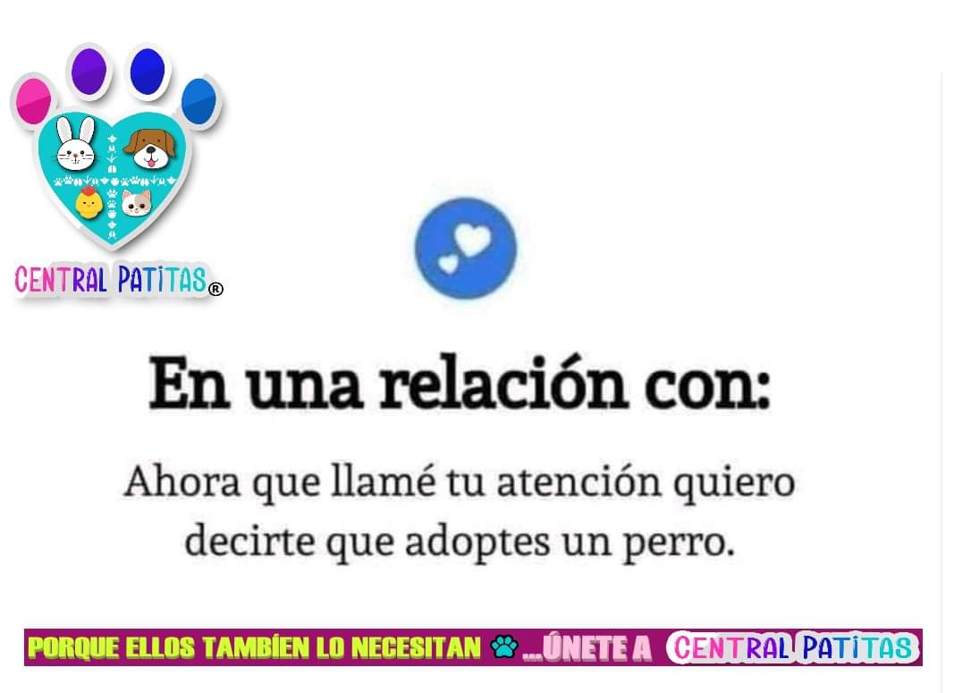 #adoptanocompres #CentralPatitas #AyudanosAAyudar