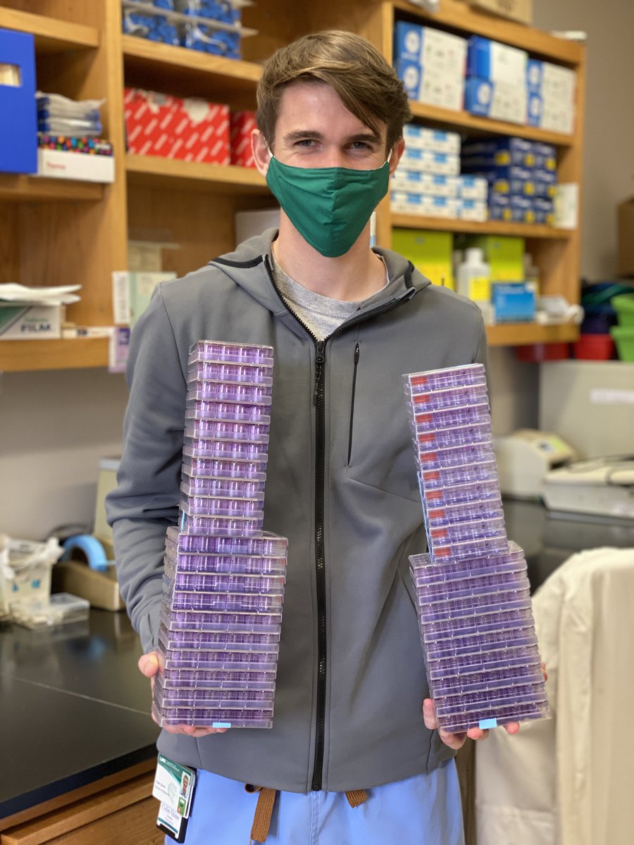 UAB Surgery (@uabsurgery) on Twitter photo Meet Colin <a href="/chquinny/">Colin Quinn</a>! He is a <a href="/UABMSTP/">UAB MSTP</a> student & in his 1st yr at <a href="/UABgradschool/">UAB Graduate School</a>. He’s pretty good at balancing his classes & counting viral plaques! At UAB, you have many opportunities to mentor @UABSOM students or, for me being a newbie to basic science, be mentored by them! Meet Colin <a href="/chquinny/">Colin Quinn</a>! He is a <a href="/UABMSTP/">UAB MSTP</a> student & in his 1st yr at <a href="/UABgradschool/">UAB Graduate School</a>. He’s pretty good at balancing his classes & counting viral plaques! At UAB, you have many opportunities to mentor @UABSOM students or, for me being a newbie to basic science, be mentored by them!