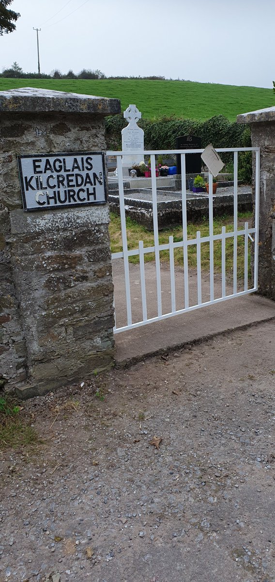 Denis Mc Carthy (@carthy_1) on Twitter photo 