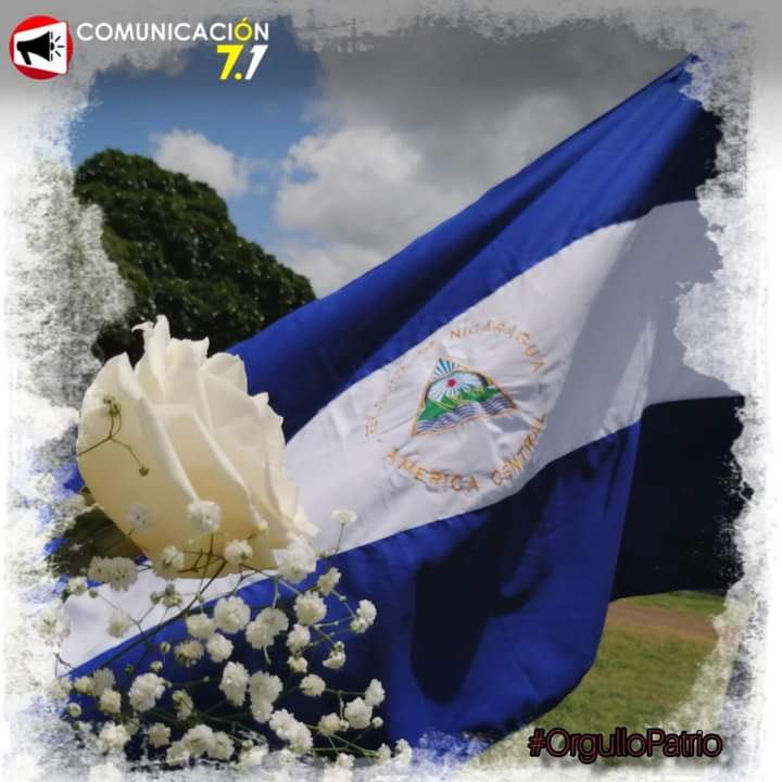 Hoy con mucho #OrgulloPatrio  levanto la  🇳🇮 de mi patria linda de mi tierra bella.
Orgulloso de Nicaragüense,  orgulloso de ser hijo de esta tierra de Sandino y de Darío.
#2021PatriaBenditaYLibre
#UnidosenVictoria
@HoChiMinhF
@FloryCantoX 
@taniasandinista