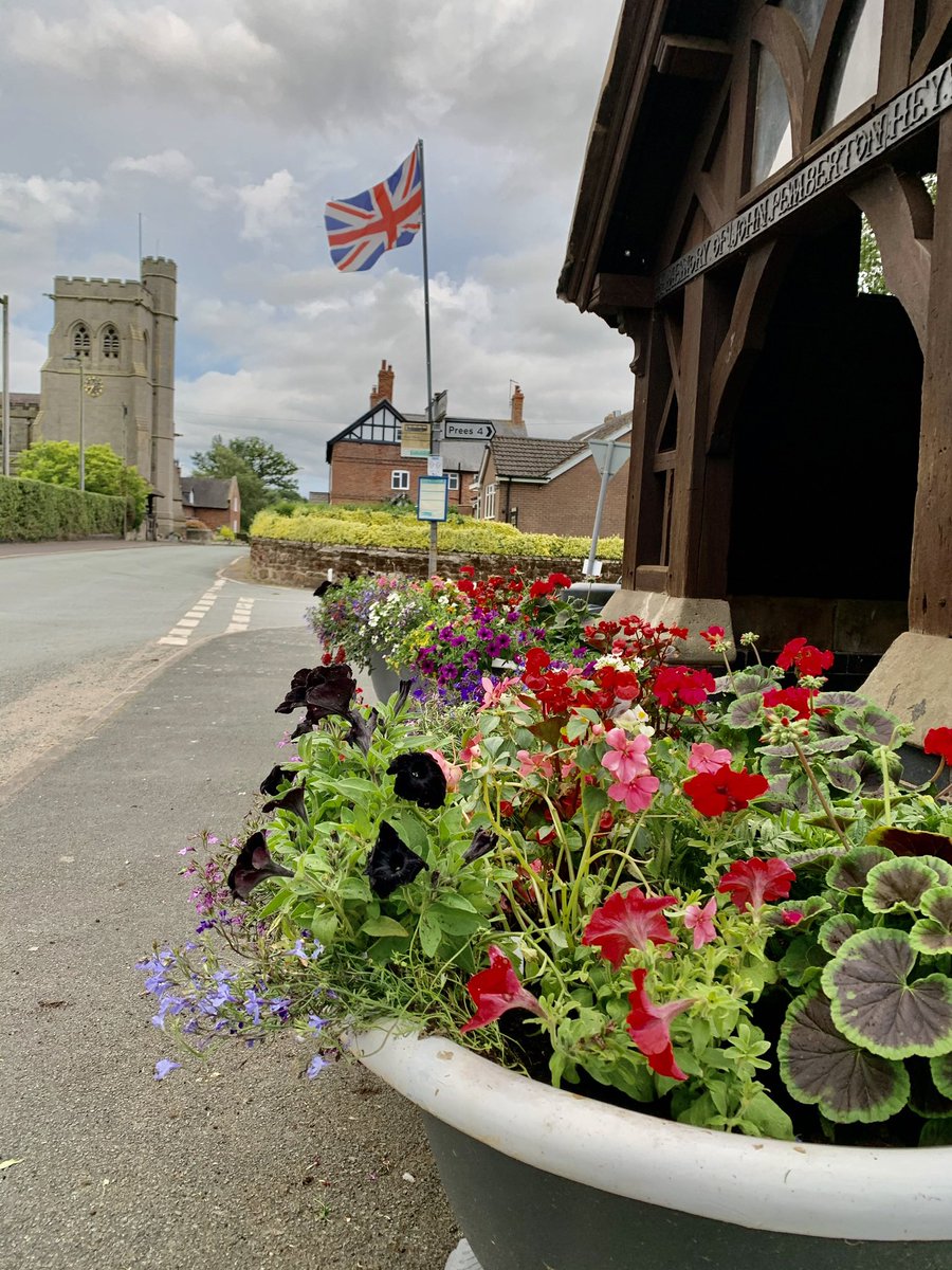 calverhall_in_bloom tweet media