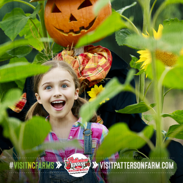 Patterson_Farm's tweet photo. We know that everyone has been asking about our fall season and we are pleased to announce, we will be open for Fall Fun on the Farm Weekends! We will be open every Saturday and Sunday beginning September 26 through November 1.
#FallFunOnTheFarm #FallToPatterson #FallSeason https://t.co/AUd216JONj