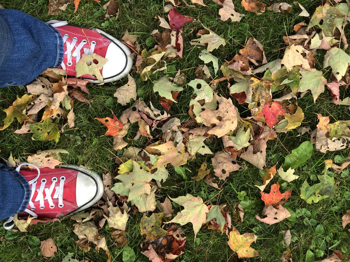 Samrx1848's tweet photo. My favorite time of year https://t.co/1cRPEtQUIb