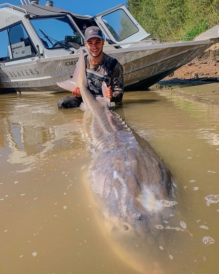 One of the most absurd creatures I’ve ever seen in my life. 
Follow @ifishinglover for more of the best fishing content!
#bassfishing #fishinglovers #fisherman #fishingday #fishing #fishingflorida #fishingkayak #fishingseason #fish #fishingguide #fishinguk