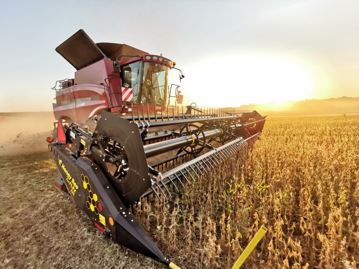valm2244's tweet photo. Moisson du soja #ACS en cour dans le #territoiredebelfort 🌞👨‍🌾@OriaAgriculture @HoneyBeeMfg @Kinze https://t.co/XBl3R15C3T