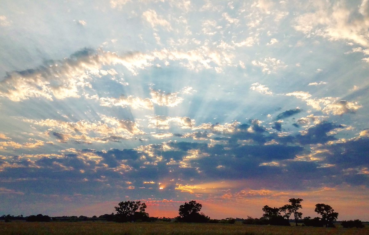 CamiRoth1's tweet photo. Kansas skies are my fave https://t.co/D8CXBL0Vwo