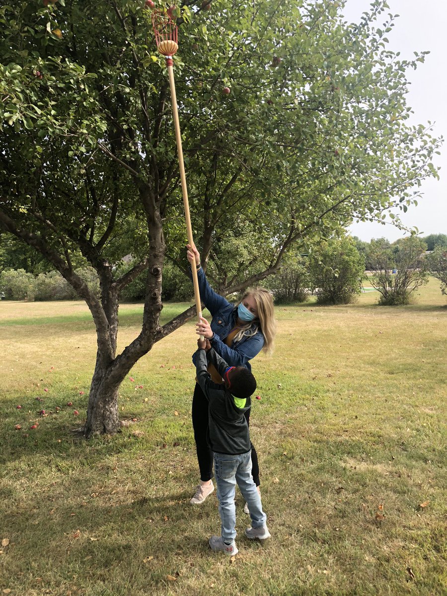 ShanaBoxler's tweet photo. What a fun time!  Mrs. McLain’s PK class got to pick apples yesterday!  They also sang songs about apples.  They loved using the apple picker!  #thedusterway #HoldregeDusters https://t.co/YSCStoYe2x